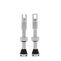peaty-chris-king-tubeless-valves-mk2-sil-3.jpg