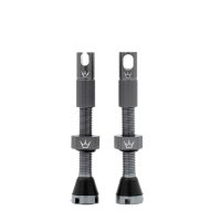 peaty-chris-king-tubeless-valves-mk2-slt-3.jpg